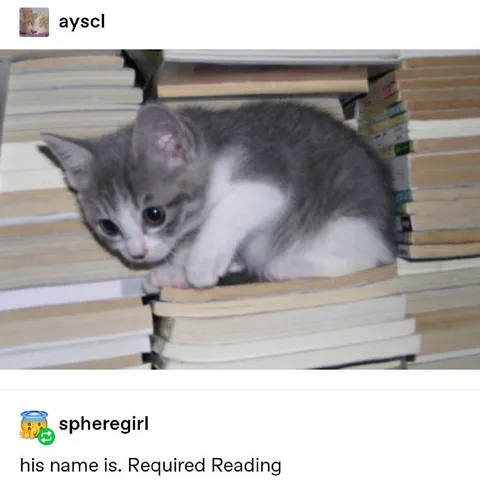 Required Reading the kitten