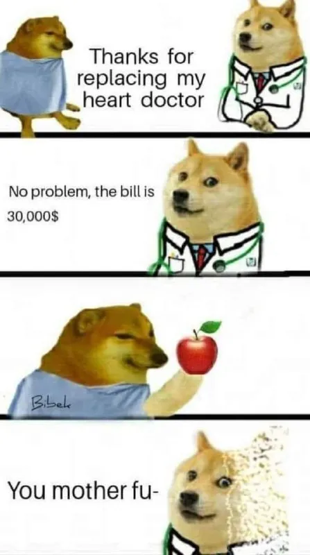 Doge Heart Doctor Bill