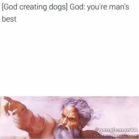 God Creating Dogs Goes Wrong