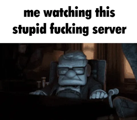 Me Watching This Stupid Server