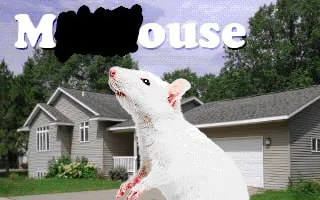 Mouse in Front of a House