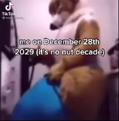 No Nut Decade Celebration