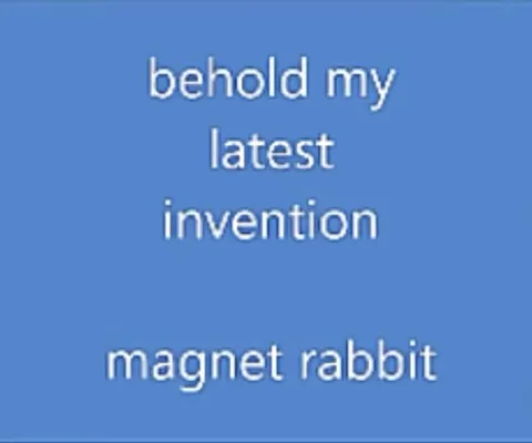 Magnet Rabbit Regret