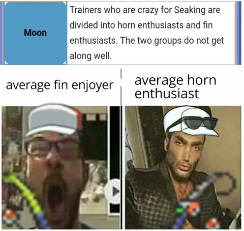 Average Fin Enjoyer vs Horn Enthusiast