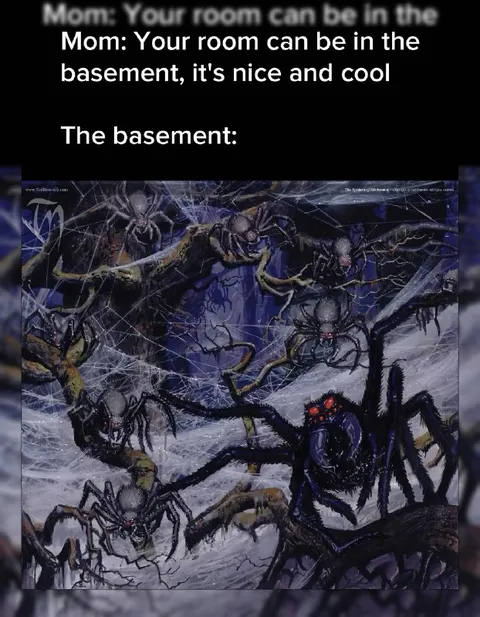 The Basement Is Nice and Cool