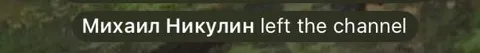 Михаил Никулин вышел из чата