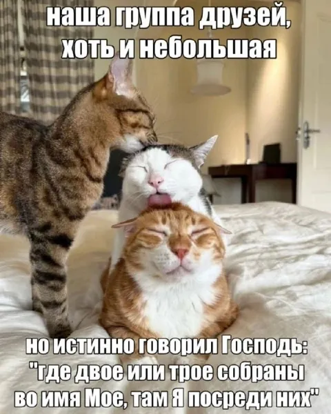 Небольшая группа друзей