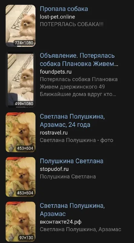Поиск пропавшей собаки