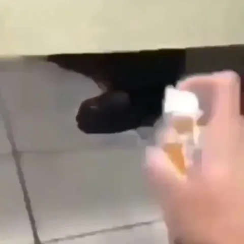 Cat Becomes Team Fortress