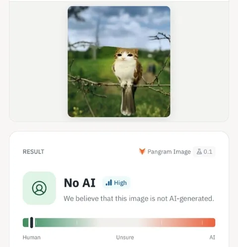 AI Detector Says No AI