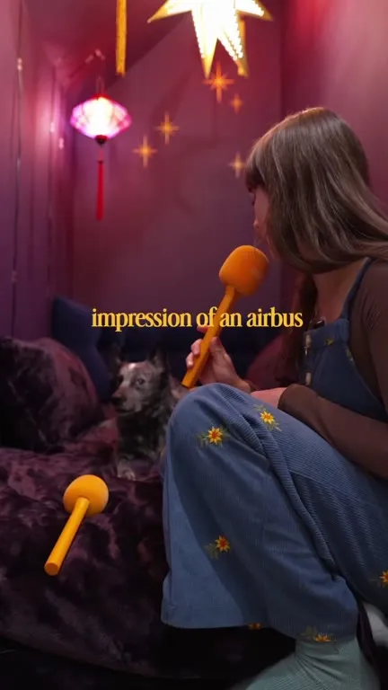 Dog Imitates an Airbus