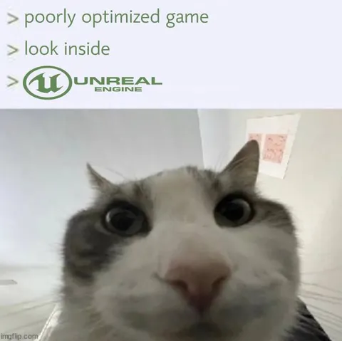 Poorly Optimized Game Look Inside
