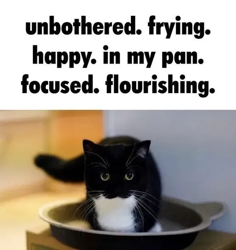 Unbothered Cat Frying in Pan