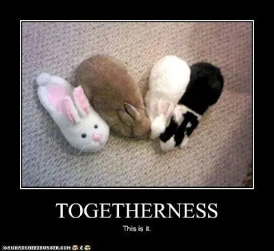 Togetherness Bunny Pile