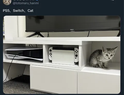 PS5, Switch, Cat