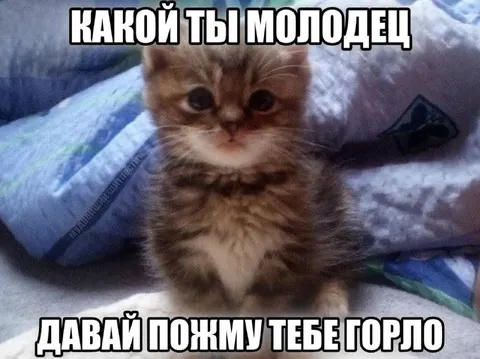 Какой ты молодец, давай пожму горло