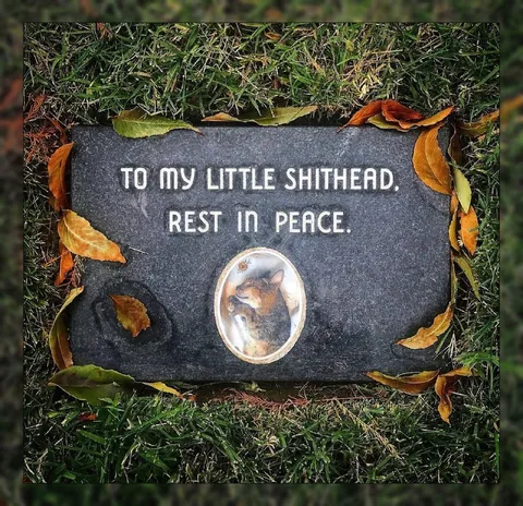 Little Shithead Pet Memorial
