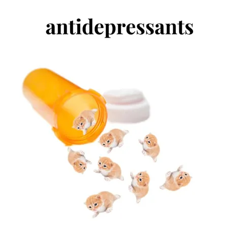 Antidepressant Hamsters