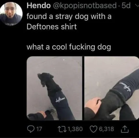 Cool Deftones Shirt Dog
