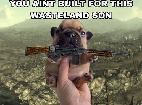 Pug Built for the Wasteland