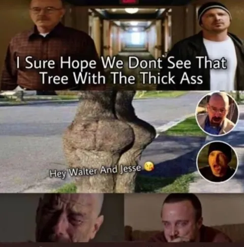 Tree With the Thick Ass