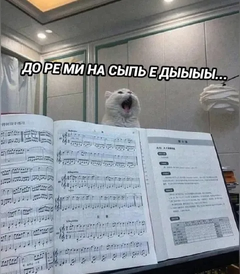 Кот поёт по нотам
