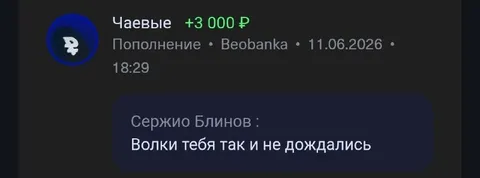 Волки тебя не дождались