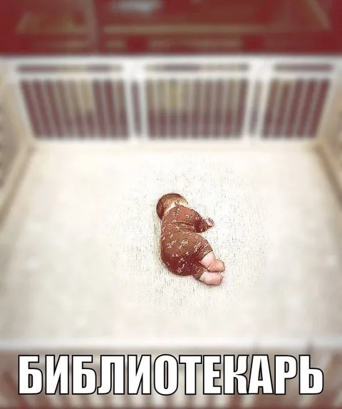 Библиотекарь в кроватке