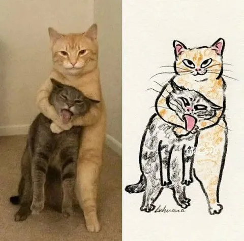 Кот обнимает другого кота