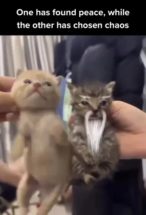One Has Found Peace, Other Chaos