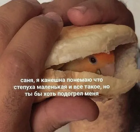 Подогрей меня, Саня