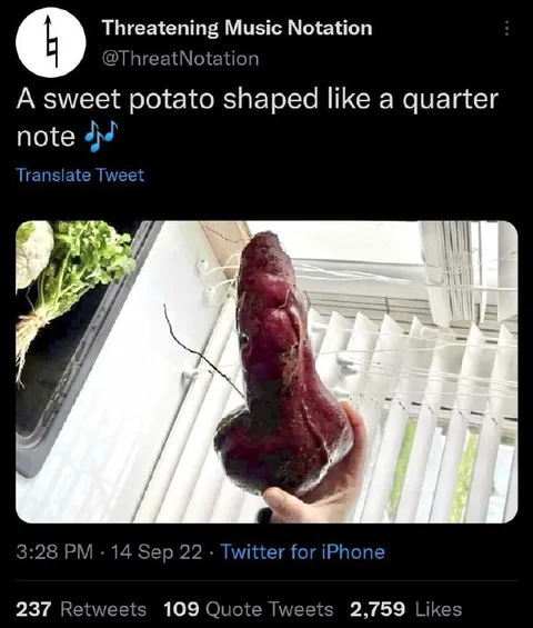 Sweet Potato Quarter Note