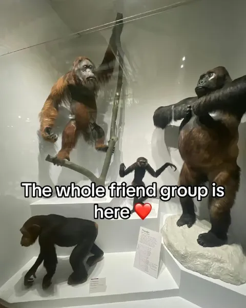 The Whole Friend Group Is Here