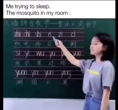 Mosquito Singing in My Room