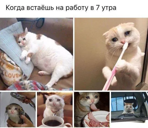 Когда встал на работу в семь