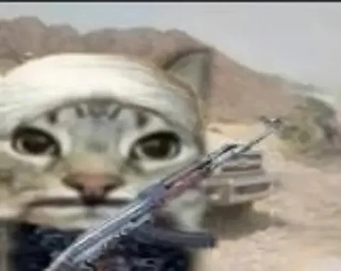 Кот машинист в кабине