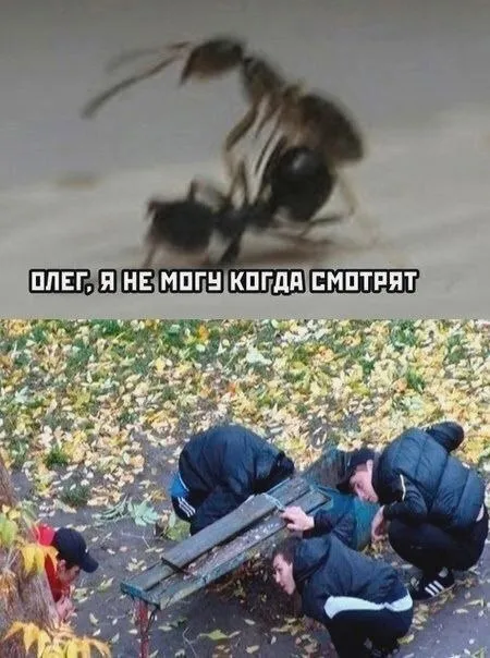 Олег, я не могу когда смотрят