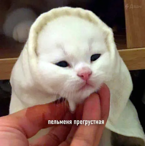 Прегрустная пельменя