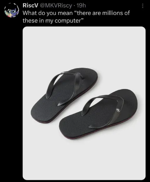 Millions of Flip-Flops on My Computer