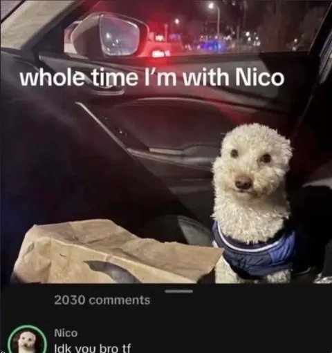 Whole Time With Nico