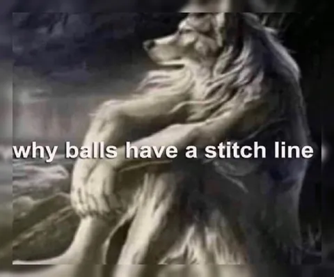Why Balls Have a Stitch Line