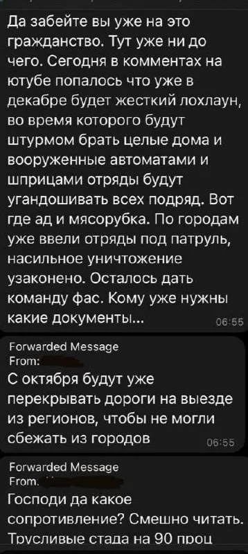 Секретные инсайды о декабрьском локдауне