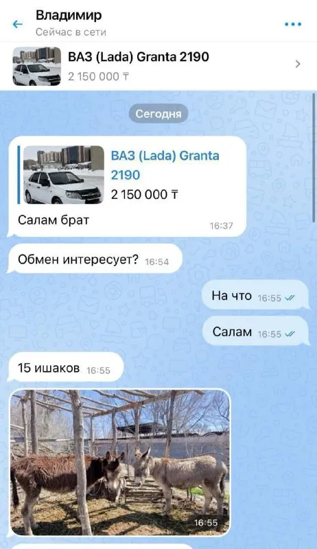 Обмен машины на ишаков