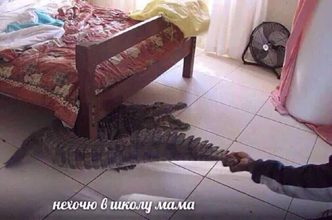 Не хочу в школу, мама