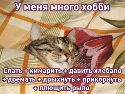У меня много хобби