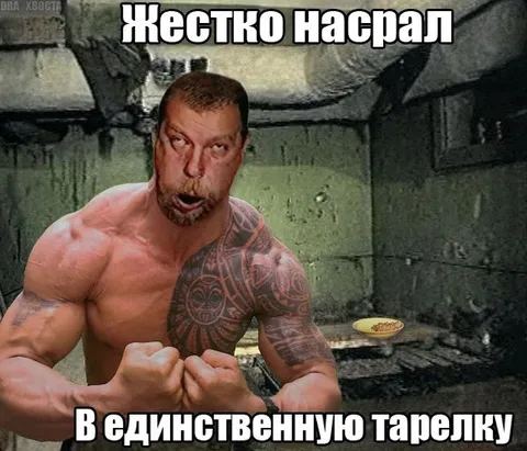 Жестко насрал в единственную тарелку