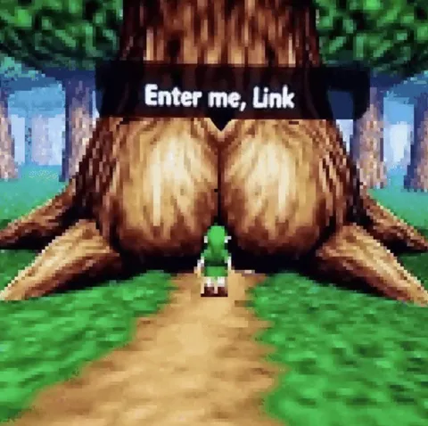 Enter Me, Link