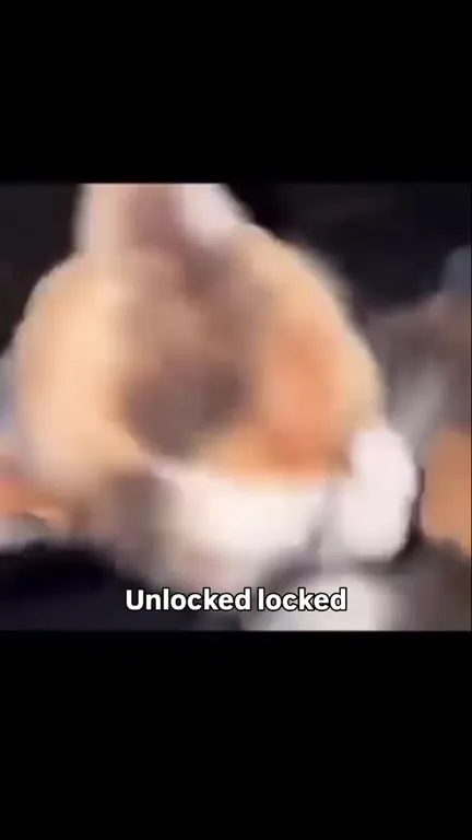 Unlocked Locked Cat