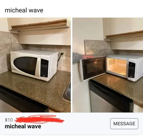 Michael Wave Microwave Listing