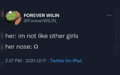 Not Like Other Girls Nose